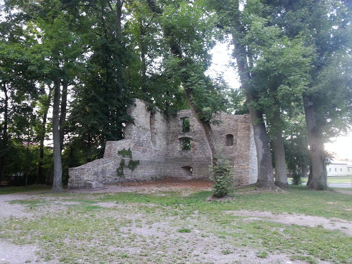 Schloß Ruine Teublitz