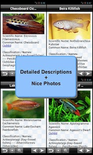 Tropical Fish Encyclopedia