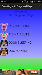 Counting With Dogs And Pigs poster 1