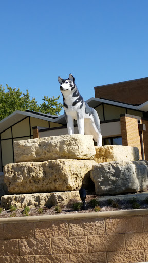 Home Of The Huskies Statue
