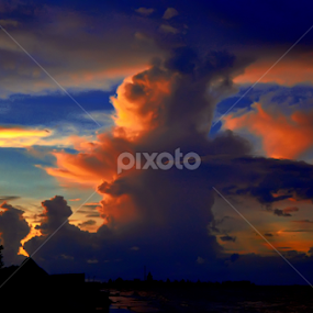Mushroom by Bagus Fey M - Landscapes Sunsets & Sunrises