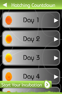 iHatch-Chickens(圖7)-速報App