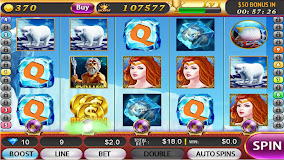 Slots Arctic:Free Slot Machine