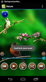 Nature Sounds To Relax Sleep poster 7