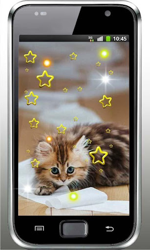 Pet Kitty Free live wallpaper