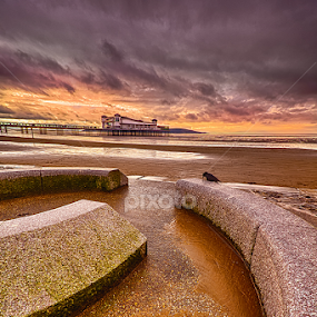 As the Crow Sits by Pete Watson - Landscapes Beaches