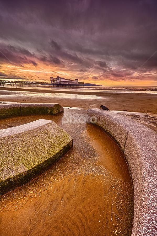 As the Crow Sits by Pete Watson - Landscapes Beaches