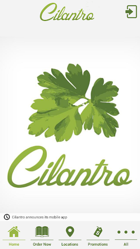 Cilantro