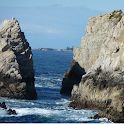 Point Lobos Wallpapers logo
