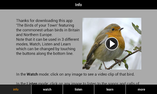 Birds of your Town Screenshots 13