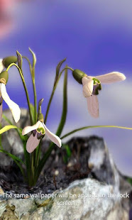 Nature Live❁ Spring Flowers XL(圖2)-速報App