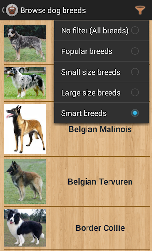 【免費娛樂App】Dog Breeds-APP點子