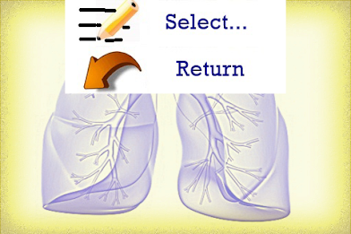 Lung Sounds by st2000 poster 2