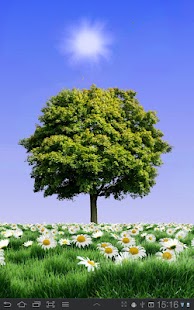 How to download Summer Trees Live Wallpaper patch 1.20 apk for bluestacks