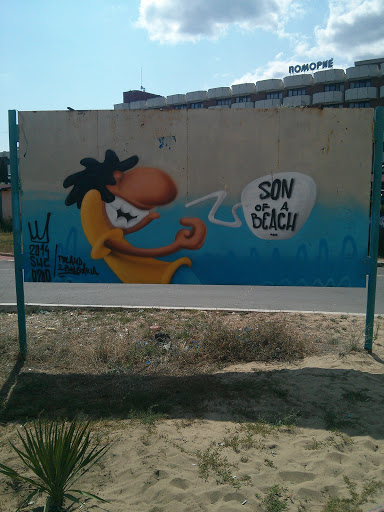 Son Of A Beach Mural