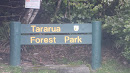 Tararua Forest Park