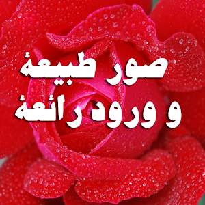 Download صور طبيعة و ورود رائعة for PC