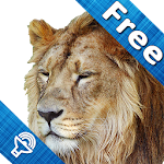 Cover Image of Télécharger Kids Zoo, animal sounds & pictures, games for kids 6.0 APK