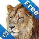 Kids Zoo,Animal Sounds & Photo mobile app icon