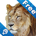 Kids Zoo, animal sounds & pictures, games for kids6.1