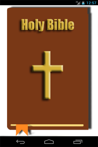 Holy Bible Swear Pro