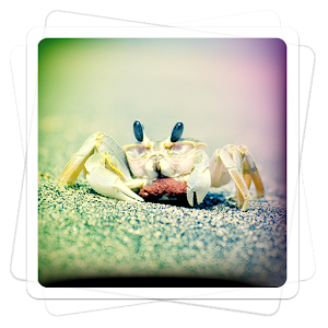 Aviary Effects: Toy Camera logo
