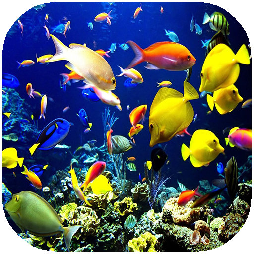 Coral Reef Wallpaper 個人化 App LOGO-APP開箱王