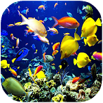 Cover Image of Herunterladen Coral Reef Wallpaper 1.0 APK