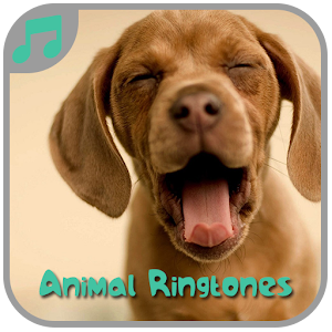 Animal Ringtones 1.0