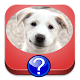 Dog Breeds Quiz by HyperDimSoft