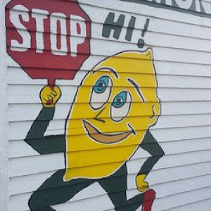 Mr. Lemon 1.1.1.5