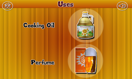 Flowers By Tinytapps poster 8