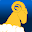 RamCloud Download on Windows