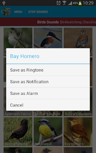 South American Birds Free(圖7)-速報App
