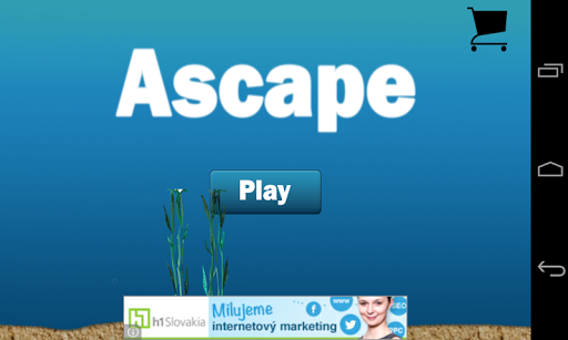 Ascape