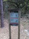 Fit Trail Station 7 Sign