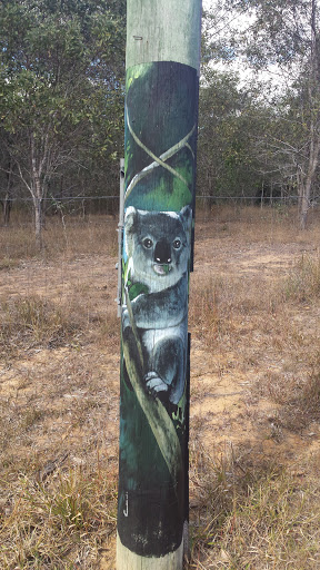 Chewing Grass Koala 