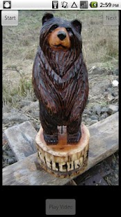 Free How-to Chainsaw Carve a Bear APK