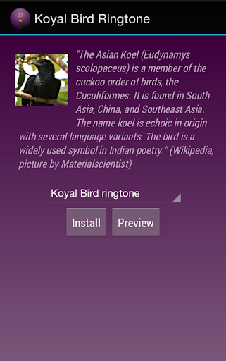 Koyal Bird Ringtone