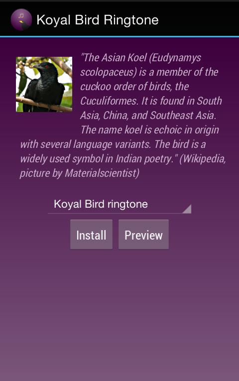 Koyal Bird Sound Ringtone Free Download edenskyey