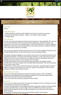 Bois Forêt Screenshots 1