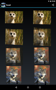 Daikonaka ImageFuse Screenshots 13