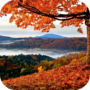 Autumn Live Wallpaper.apk 1.0