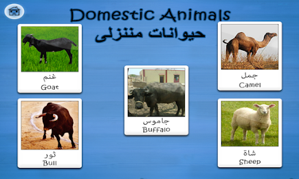 Arabic Flashcards By Tinytapps poster 8