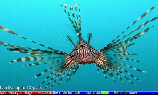 Fish of the Coral Reef 1 FREE - náhled