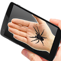 Spider On Hand Prank Apk