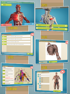 易解剖 3D(圖1)-速報App