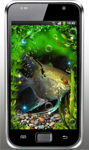 Aquarium Exotic Fish HD LWP