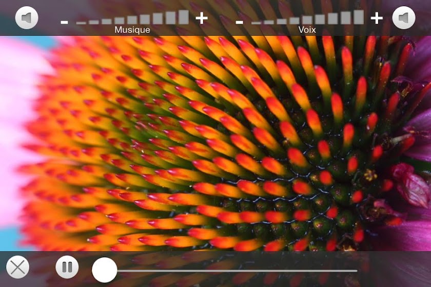 Le Corps Screen 3