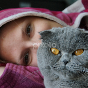 Frida & Alice by Stefano Rho - Animals - Cats Portraits